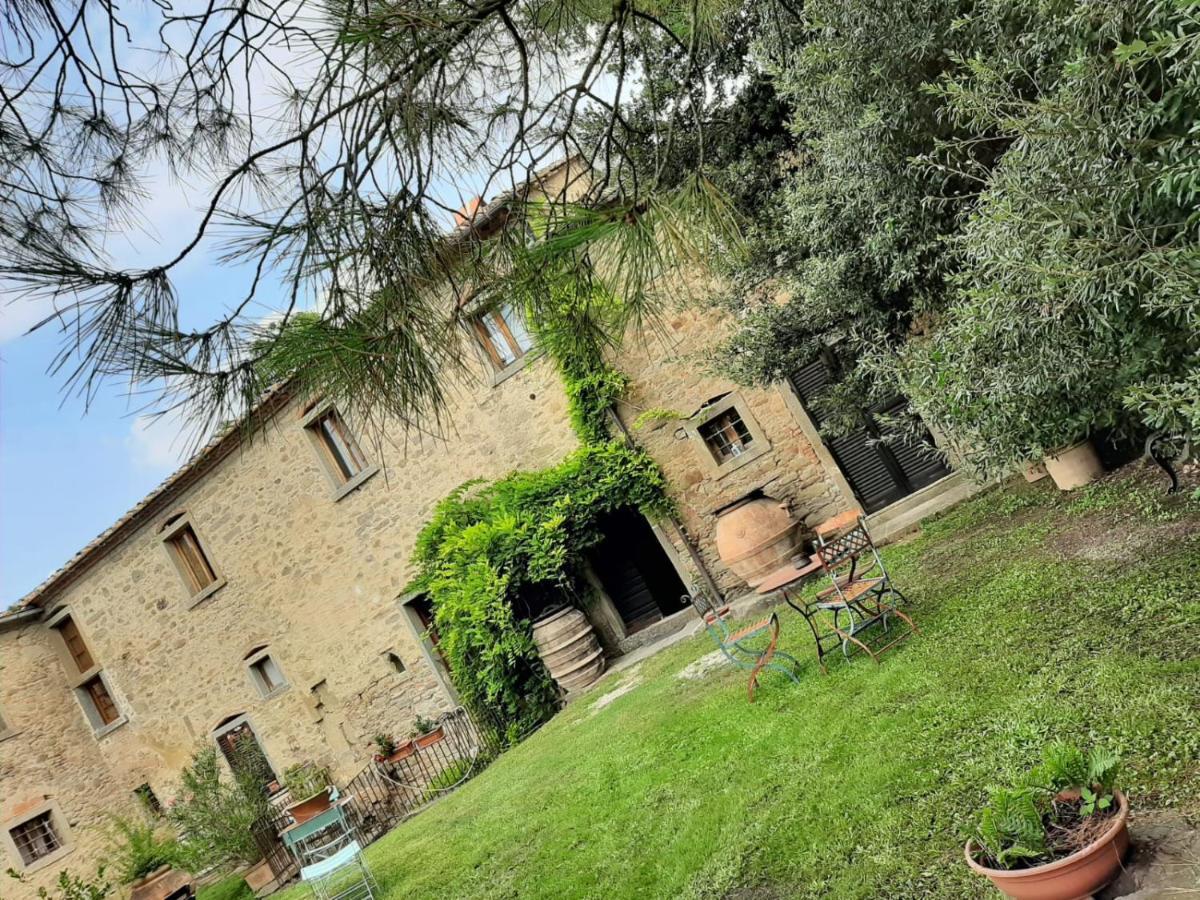 Frantoio Valiani Farm stay