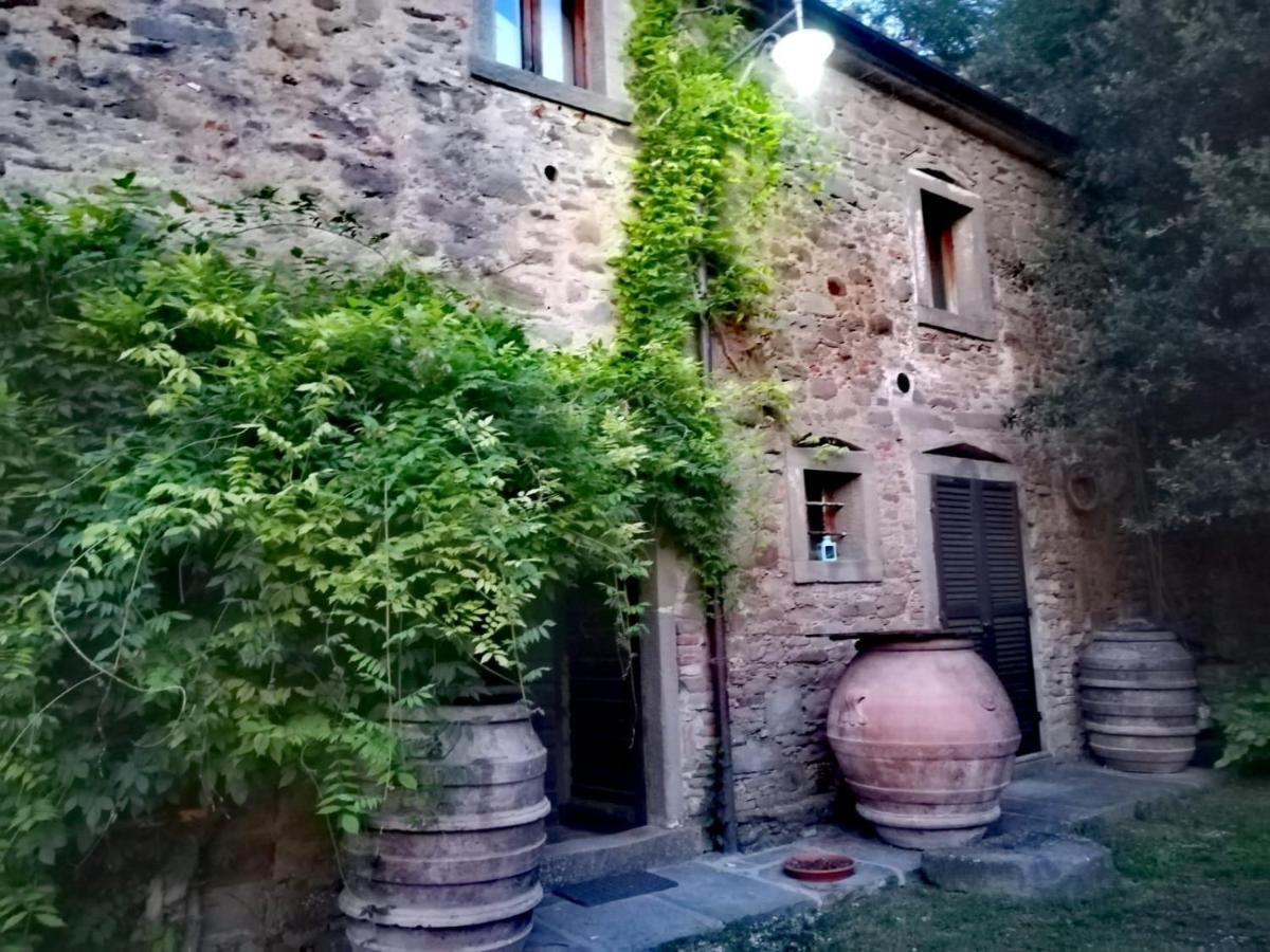 Frantoio Valiani Farm stay