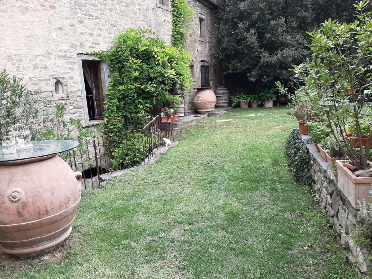 Frantoio Valiani * Cortona